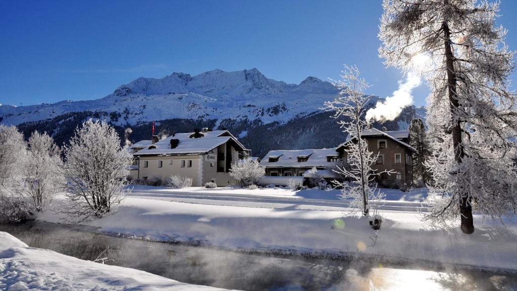 Hotel Chesa Grischa Sils Baselgia Εξωτερικό φωτογραφία